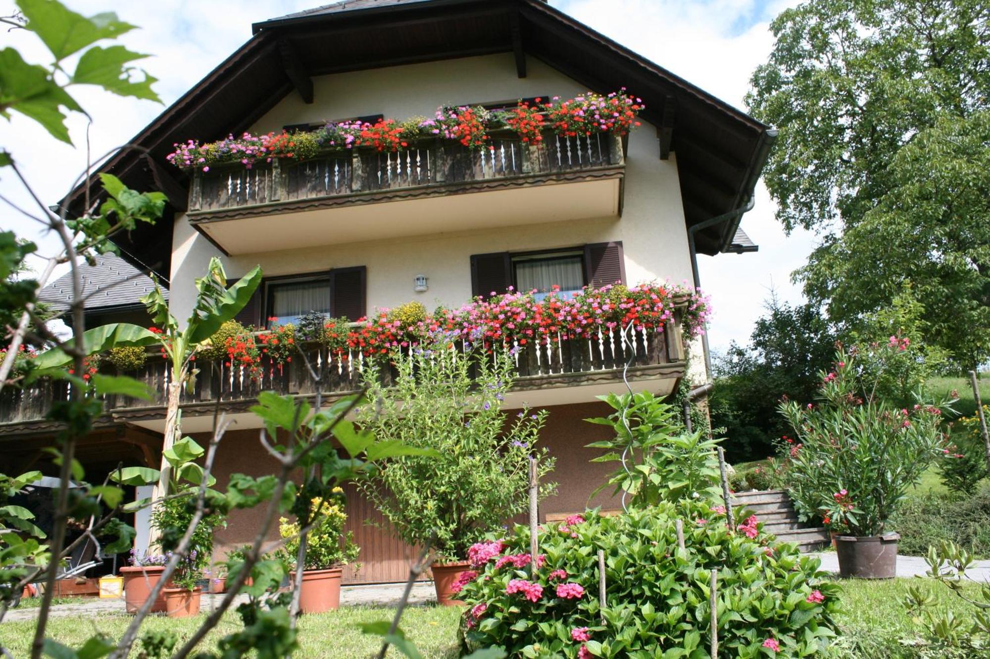 Gasthaus - Gaestehaus Schusterbauer Rein Bagian luar foto